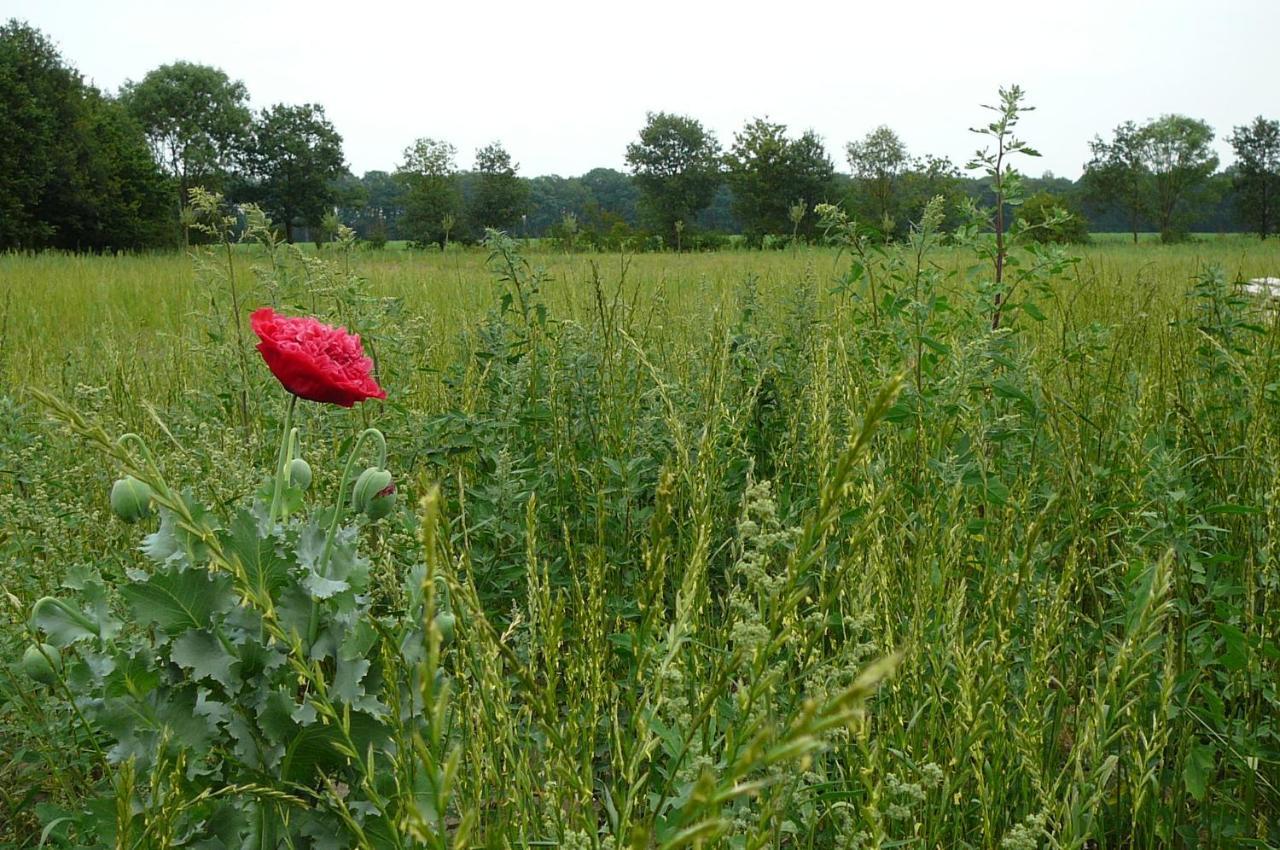 Gasterij Landschot Panzió Hoogeloon Kültér fotó